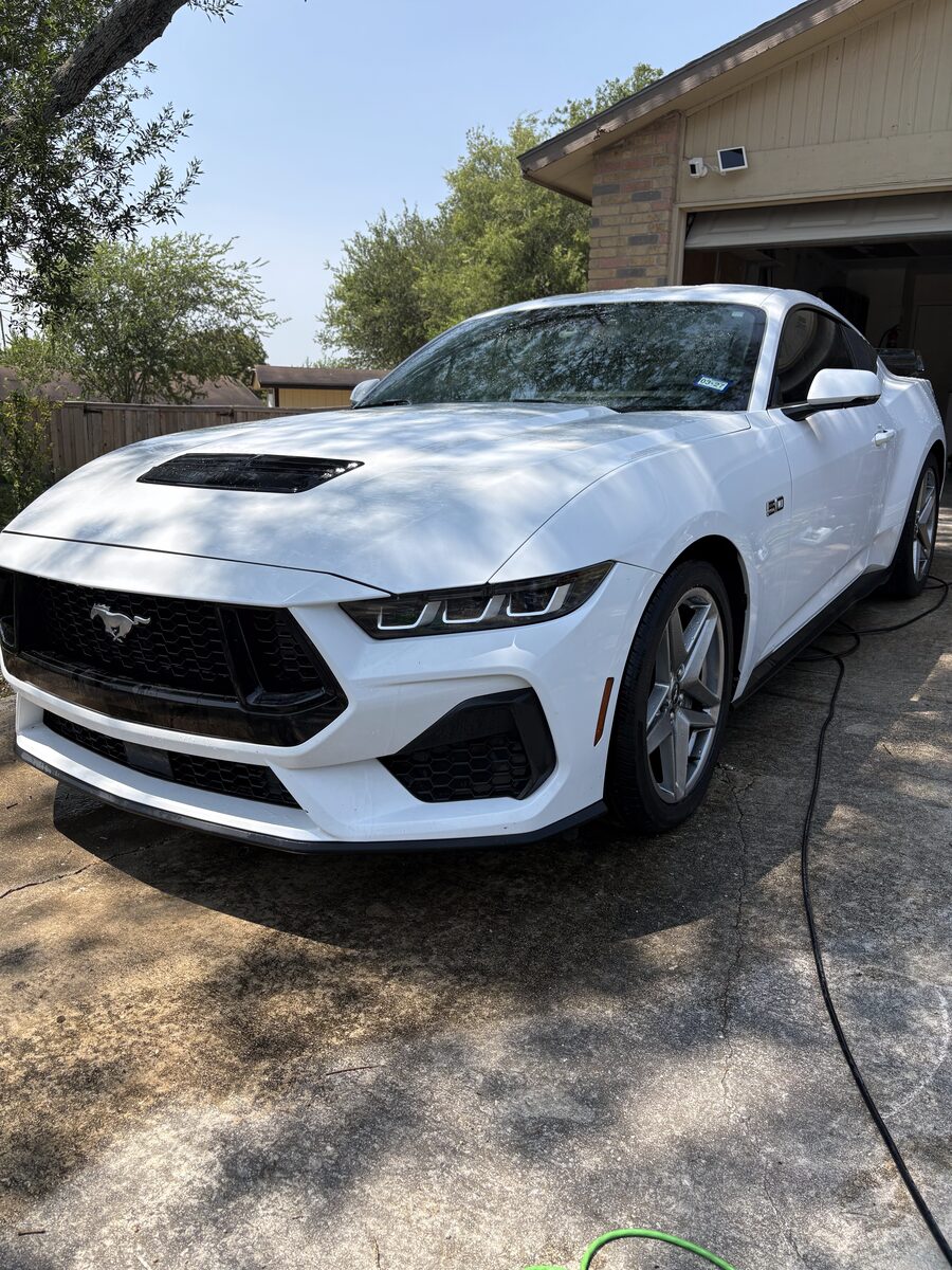 Mustang